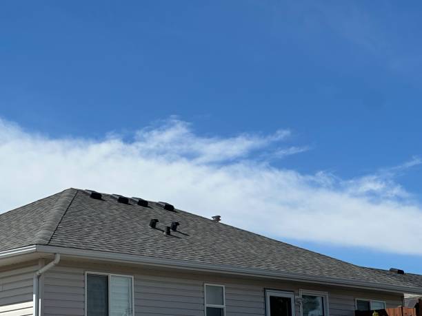 Best Roof Insulation Installation  in Unalaska, AK